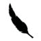 Feather_1_web Cours Pilates, Garuda, Stretching, Genève, Stand, Plainpalais, Rive gauche, Marchon