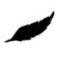 Feather_4_web Cours Pilates, Garuda, Stretching, Genève, Stand, Plainpalais, Rive gauche, Marchon